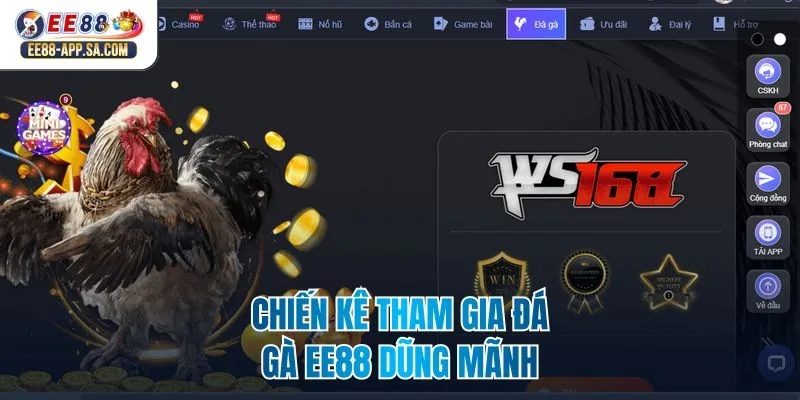 Chiến kê tham gia đá gà EE88 dũng mãnh