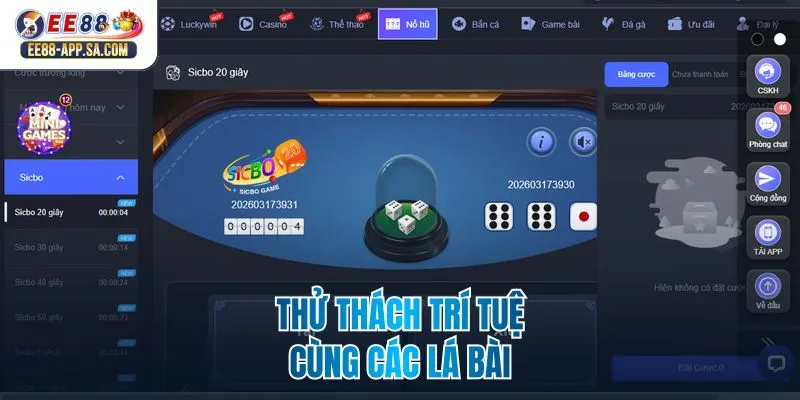 Thử thách trí tuệ cùng các lá bài
